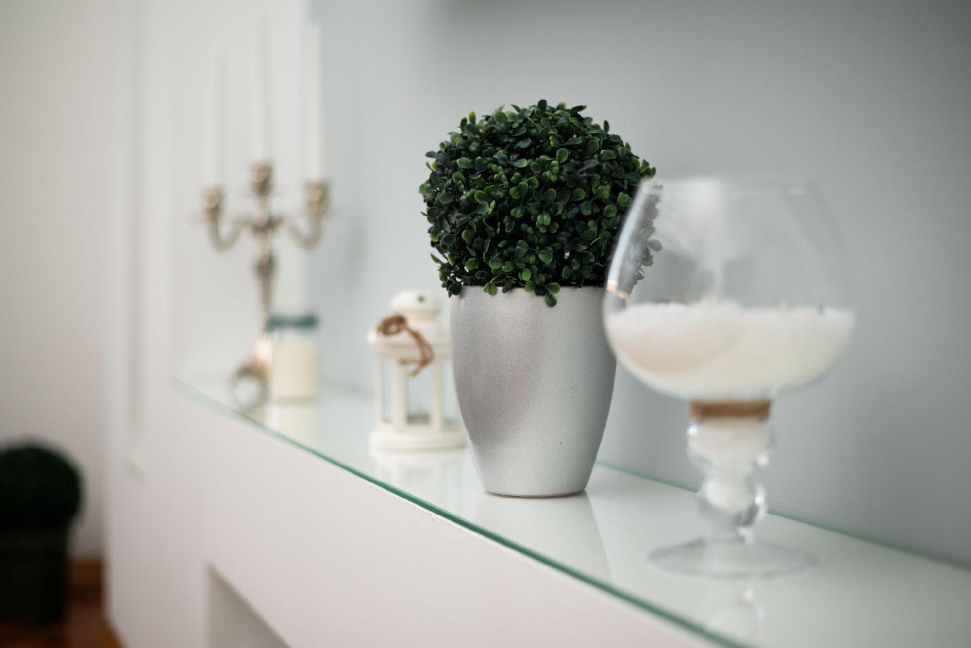 Apartment Primula Суботиця Екстер'єр фото